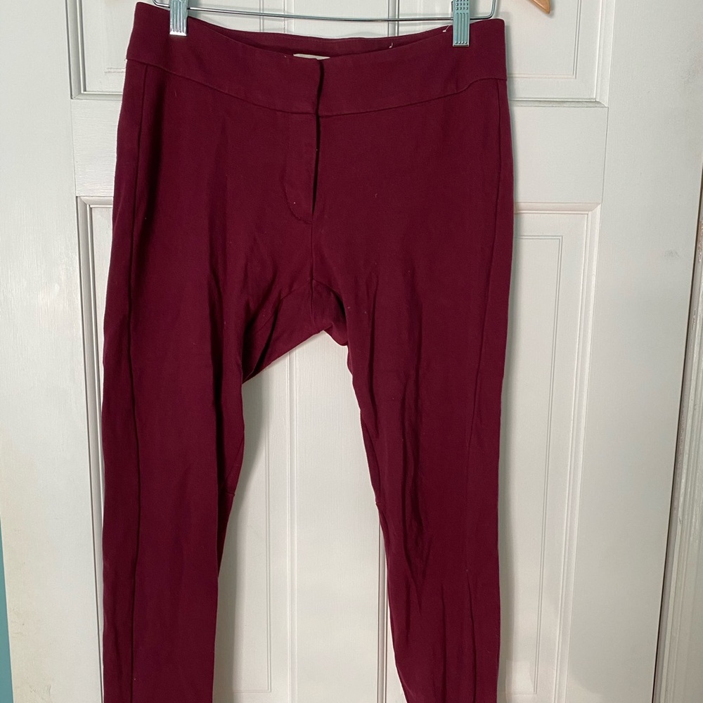Maroon LOFT Ponte Pants
